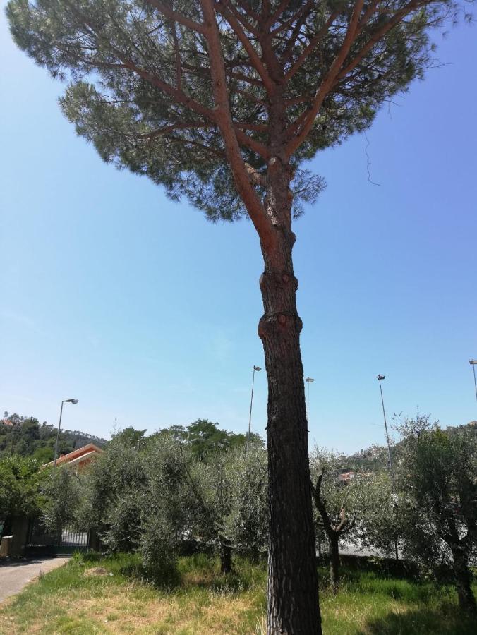 Hotel Ca Du Angiulin Casarza Ligure Exterior foto